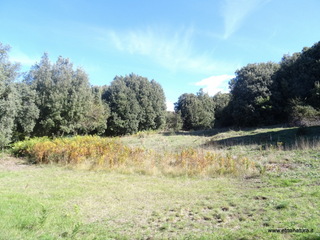 sco di Centorbi-18-10-2020 11